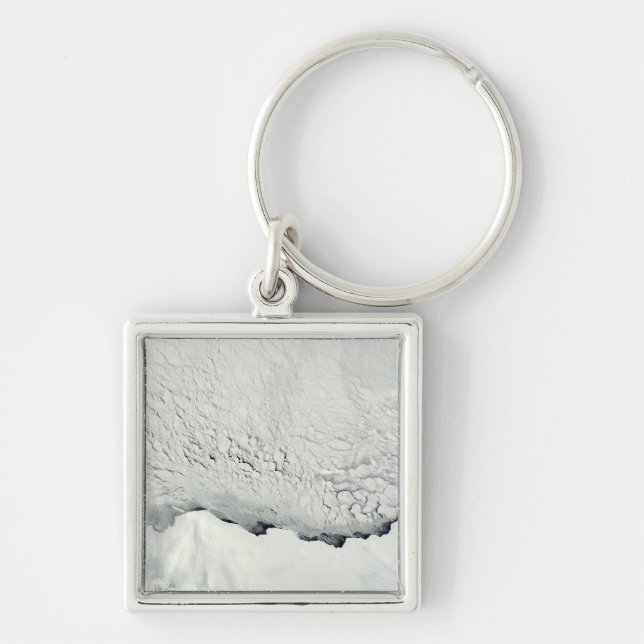 Early spring in the Antarctic Key Ring (Front)