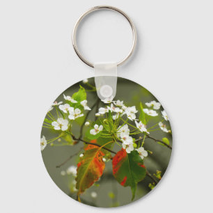 Early Spring  Key Ring