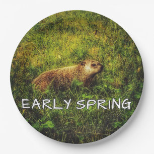Early Spring plates