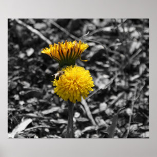 Early Spring Pollination Poster