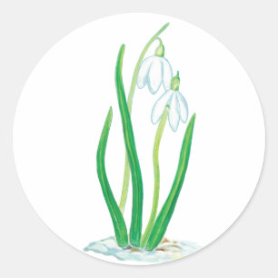 Early Spring Snowdrops  Classic Round Sticker