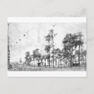 Early years, Mount Dora, FL Postcard