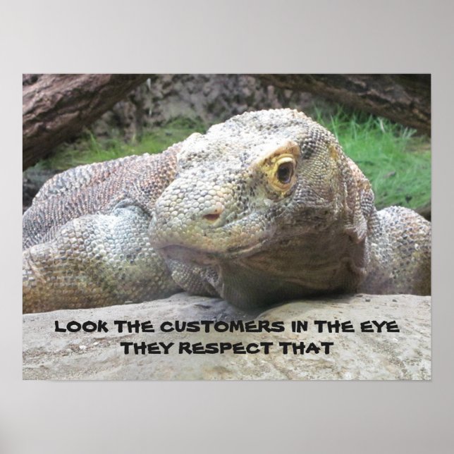 Earn Customer Respect - Employee Motivational Poster (Front)