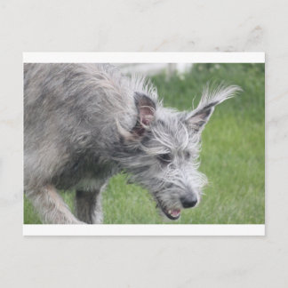 ears in motion postcard