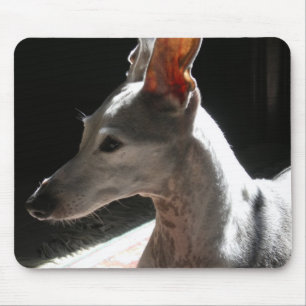 Ears Up!, photo Mouse Pad