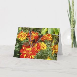 "Earth Angel" Get Well Card