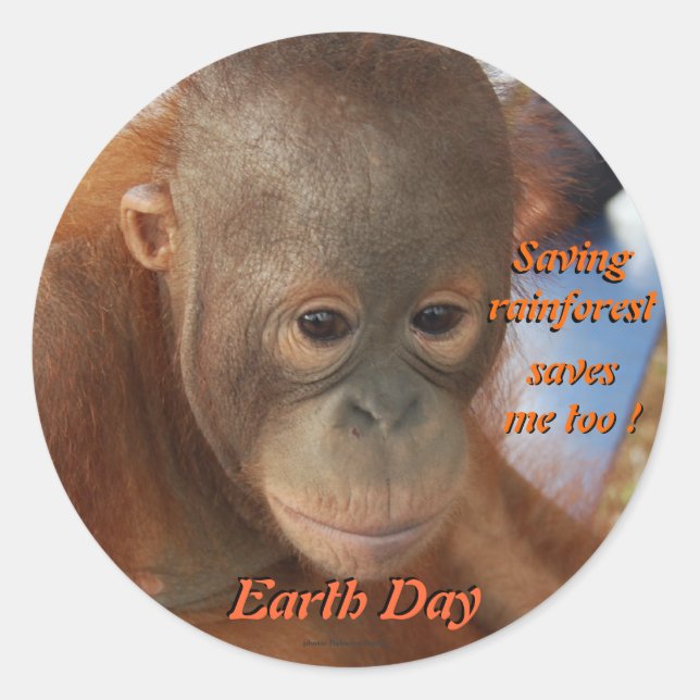 Earth Day Conservation Classic Round Sticker (Front)