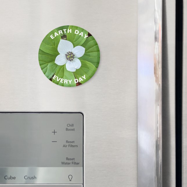 Earth Day Every Day Bunchberry Dogwood Floral Magnet (In Situ (Fridge))