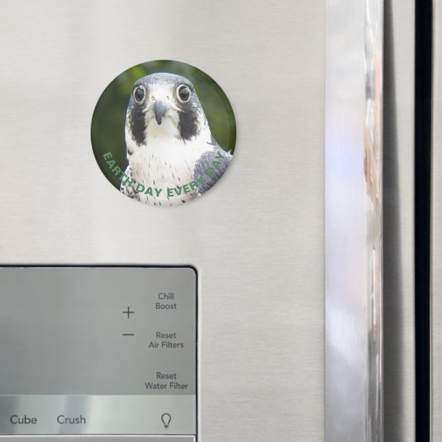 Earth Day Every Day Peregrine Falcon Photo Magnet (In Situ (Fridge))