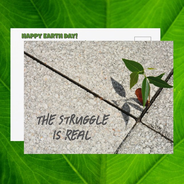 Earth Day the Struggle is Real Tree Seedling Postcard (Creator Uploaded)
