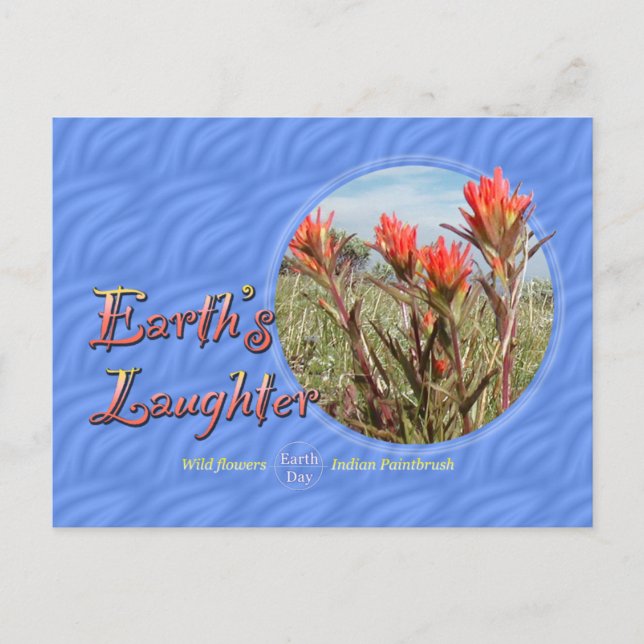 Earth Day Wildflower Postcard (Front)
