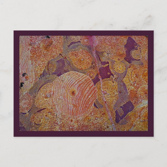 Earth Design postcard (Front)