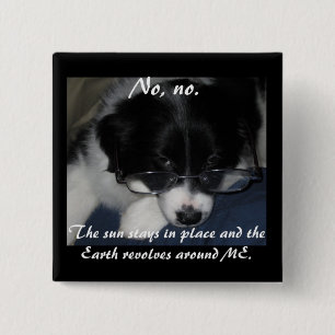 "Earth Revolves Around ME" Button