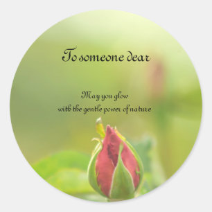 Earth’s Glow and Healing Japanese Flowers/EarthDay Classic Round Sticker