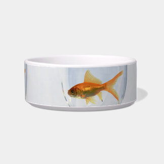 Earthen bowl for cats with image of fish