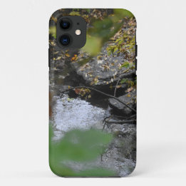 Earth's Enchantments Case-Mate iPhone Case