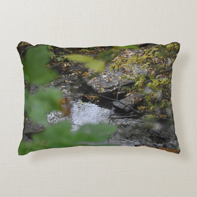 Earth's Enchantments Decorative Cushion (Front)