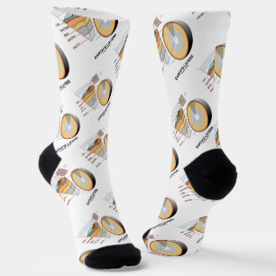 Earth's Layers Earth Science Geology Socks