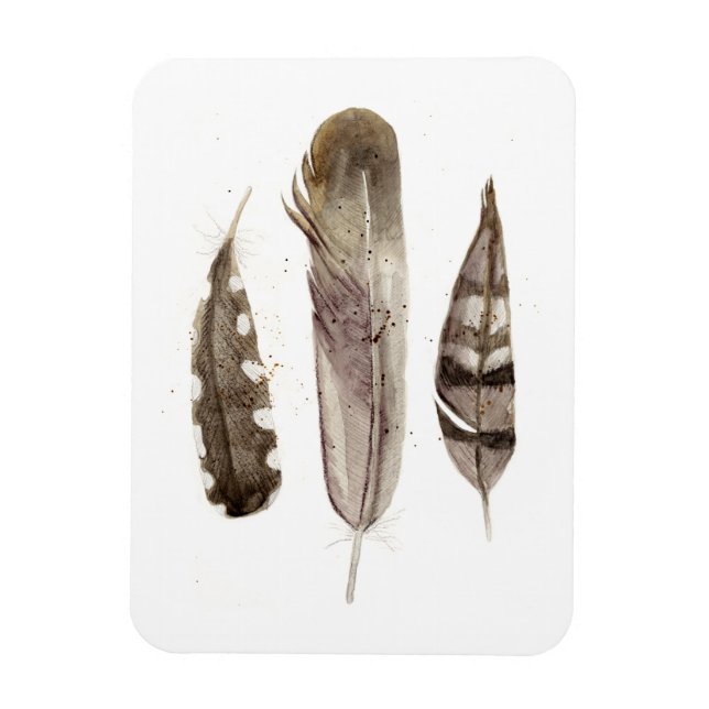 Earthtone Feathers II Magnet (Vertical)