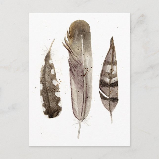 Earthtone Feathers II Postcard (Front)