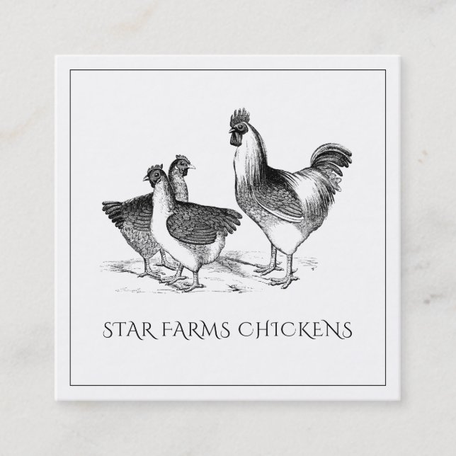 Earthy Rustic Chicken Poultry Farm Square Business Card (Front)