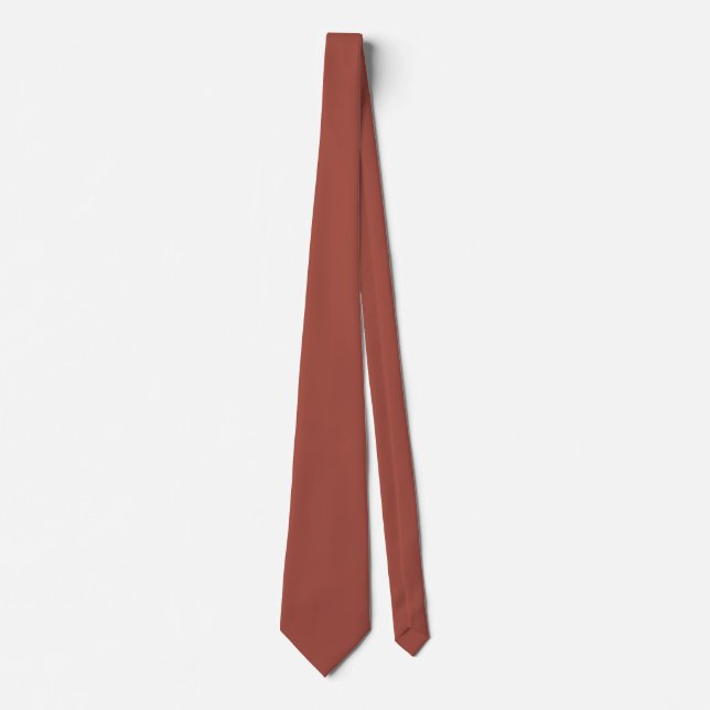 Earthy Terra Cotta Color Tie (Front)