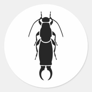 Earwig Classic Round Sticker