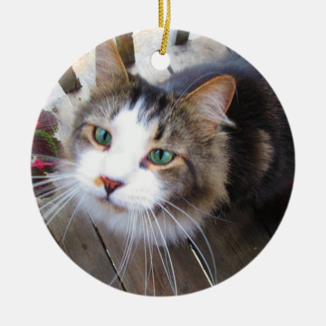 Easily Create Your Own Add 2 Photos Custom Ceramic Tree Decoration (Front)