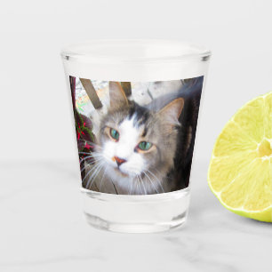 Easily Create Your Own Add Photo Custom Shot Glass