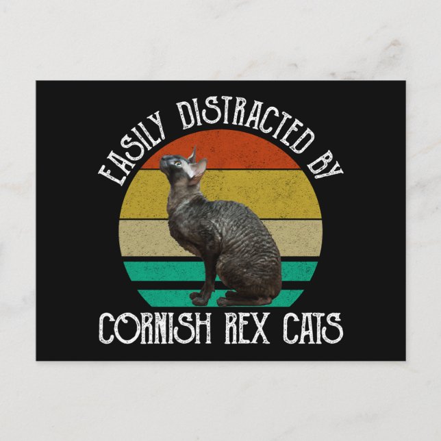 Easily Distracted By Cornish Rex Cats Postcard (Front)