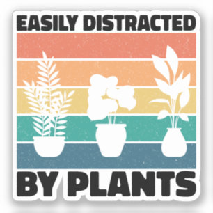 Easily Distracted By Plants Planting Love Colourfu