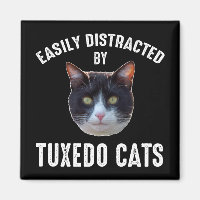 Easily Distracted By Tuxedo Cats