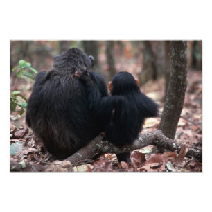 East Africa, Tanzania Photo Print