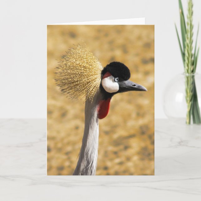 East African Crowned Crane Card (Front)