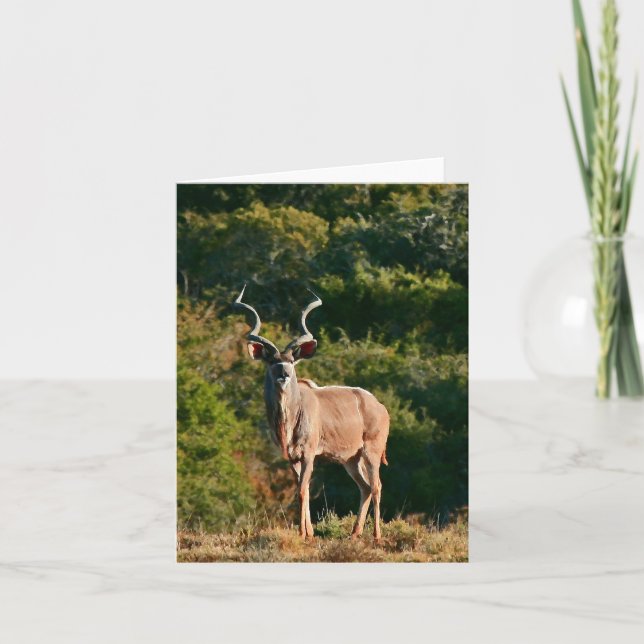 East Cape Kudu note card (Front)