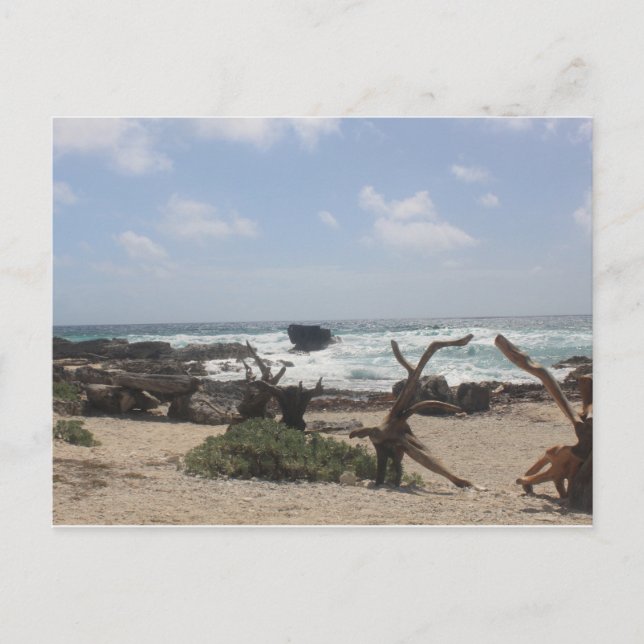 East Coast of Cozumel Postcard (Front)