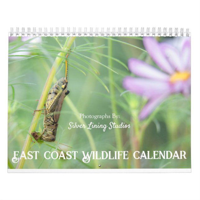 East Coast Wildlife Calendar (Cover)