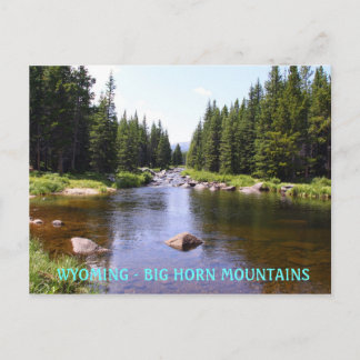 East Fork Big Goose, WYOMING - BIG HORN MOUN... Postcard