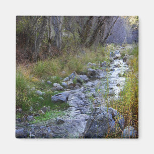 East Fork/Hayfork creek...... Magnet