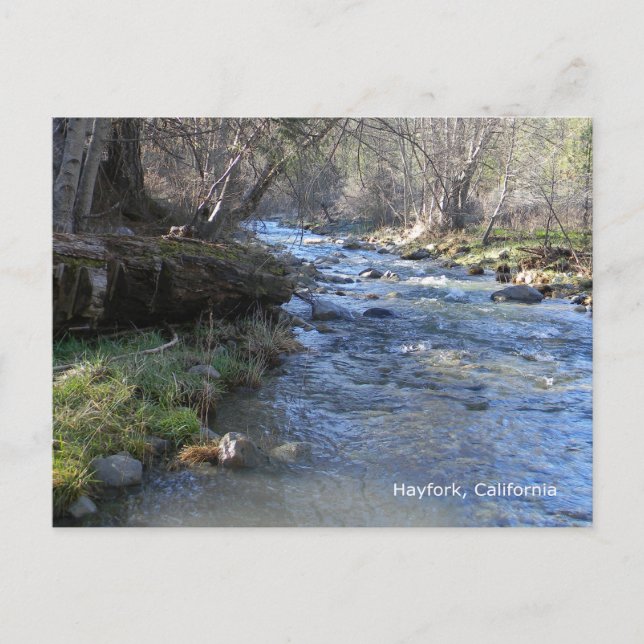 East Fork, Hayfork Creek... Postcard (Front)