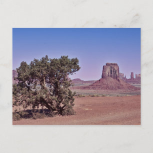 East Mitten Bute Postcard