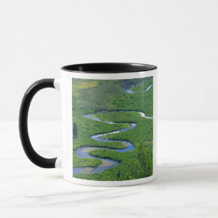 East River near the town of Crested Butte. Mug