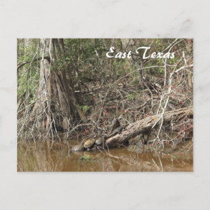 East Texas Postcard