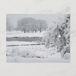 East Texas winter, 2009 Postcard