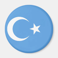 East Turkestan Uyghur Flag