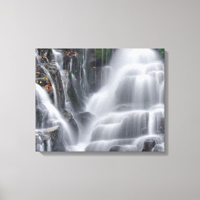 Eastatoe Falls Canvas Print (Front)