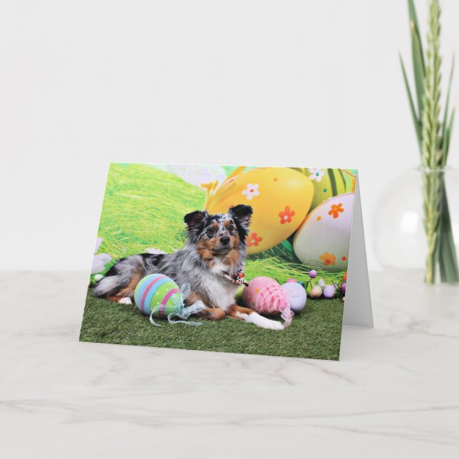 Easter - Australian Shepherd - Silas Barker Holiday Card (Front)