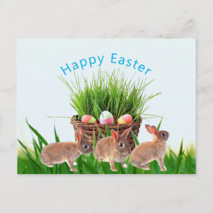 Easter Basket and Rabbits Happy Holiday Postcard