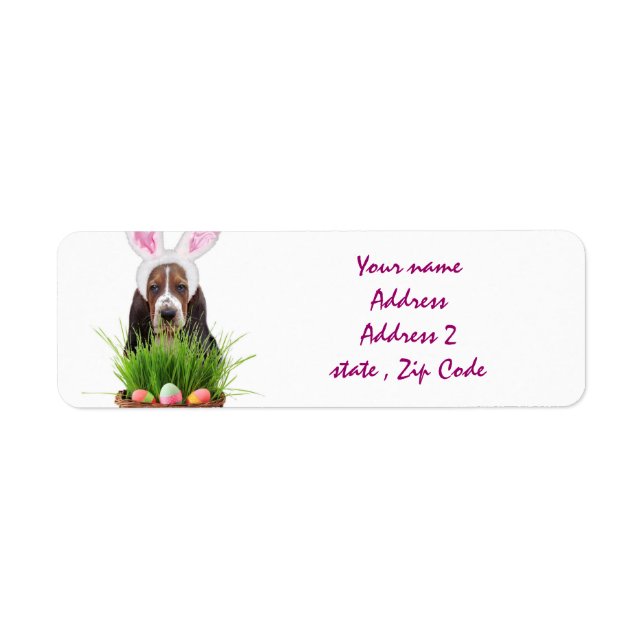 Easter Basset Hound (Front)