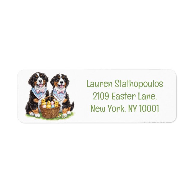 Easter Bernese Mountain Dogs (Front)